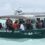 Policía Ecológica y PICMMY de la UADY liberan delfín que varó ayer en malecón de Progreso
