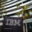 Crío Empresa moderniza sus operaciones con soluciones tecnológicas de IBM