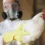 Brasil congela envío de pollo por brote de gripe aviar y afecta a China y UE