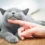 ¿Por qué les decimos “michis” a los gatos? Conoce las teorías detrás del tierno apodo