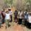 Apicultores de Nohalal piden intervención urgente tras mortandad de abejas.