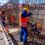 Servicios, agricultura y construcción concentran caída de empleo