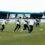 Venados busca extender su buen momento ante Club Atlético La Paz